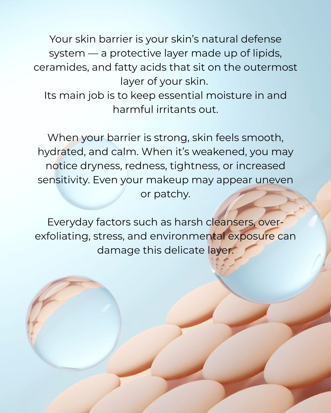 Hydra Barrier Restore+